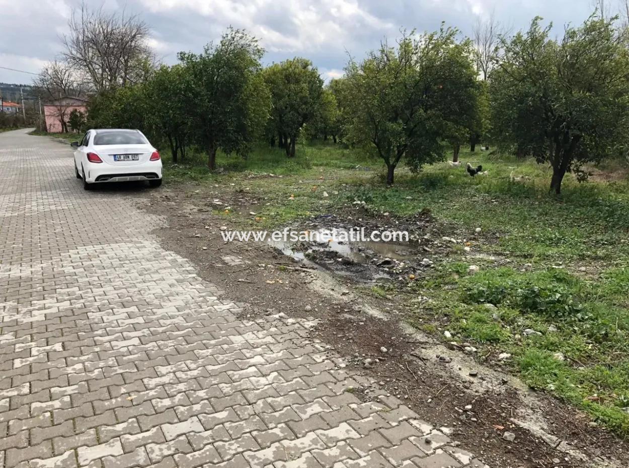 Land Und Altes Dorfhaus Zu Verkaufen In Köycee'iz Feuer