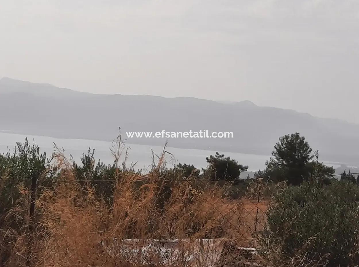 Freistehendes Land Mit Seeblick Zum Verkauf In Köycee'iz Zeytin Bereich