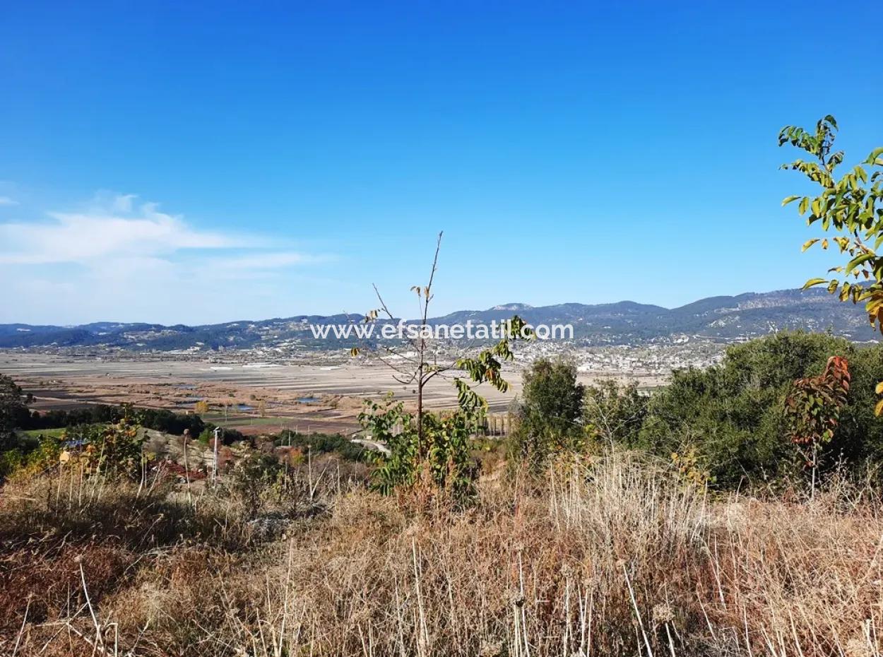 Denizli Çameli Kizilyaka Schmetterling Land Und Dorfhaus Mit Hundeblick Zum Verkauf