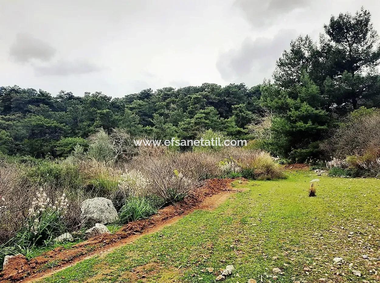 Dalyan Gökbel 13.100 M2 Acker Zum Verkauf In Der Natur