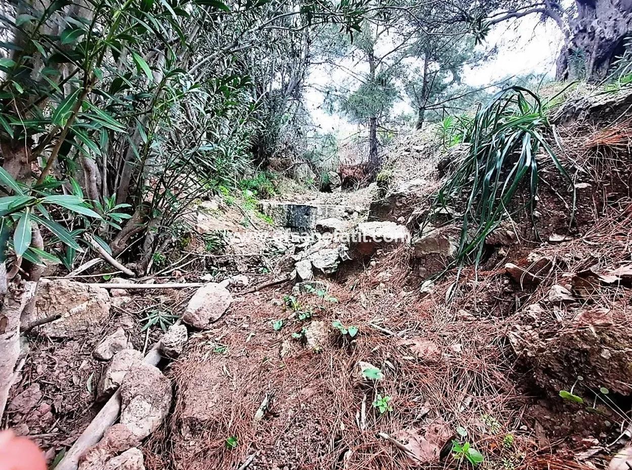 Dalyan Gökbel 13.100 M2 Acker Zum Verkauf In Der Natur