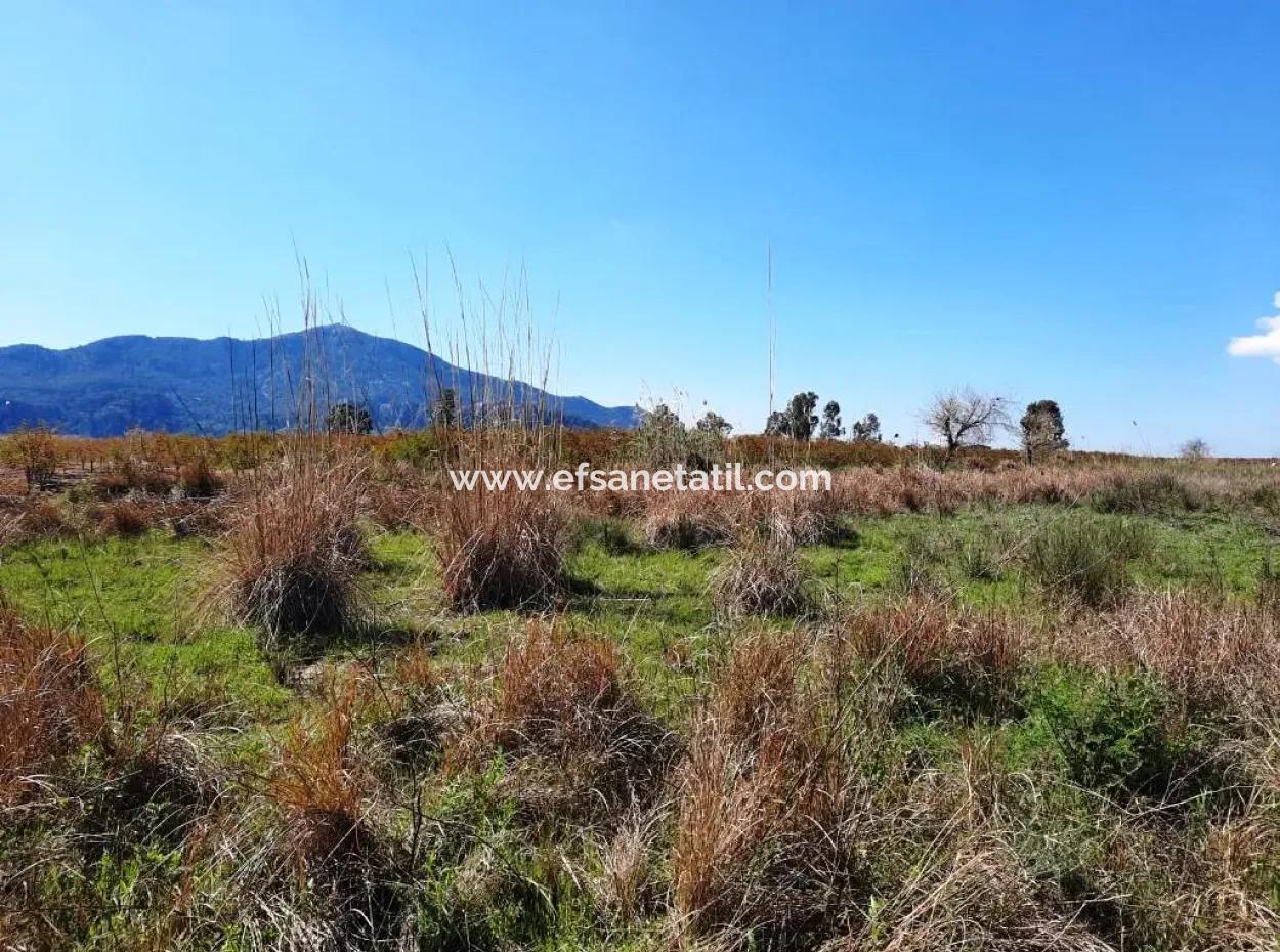 4830 M2 Land In Der Nähe Der Strandstraße Iztuzu Zum Verkauf In Mugla Dalyan