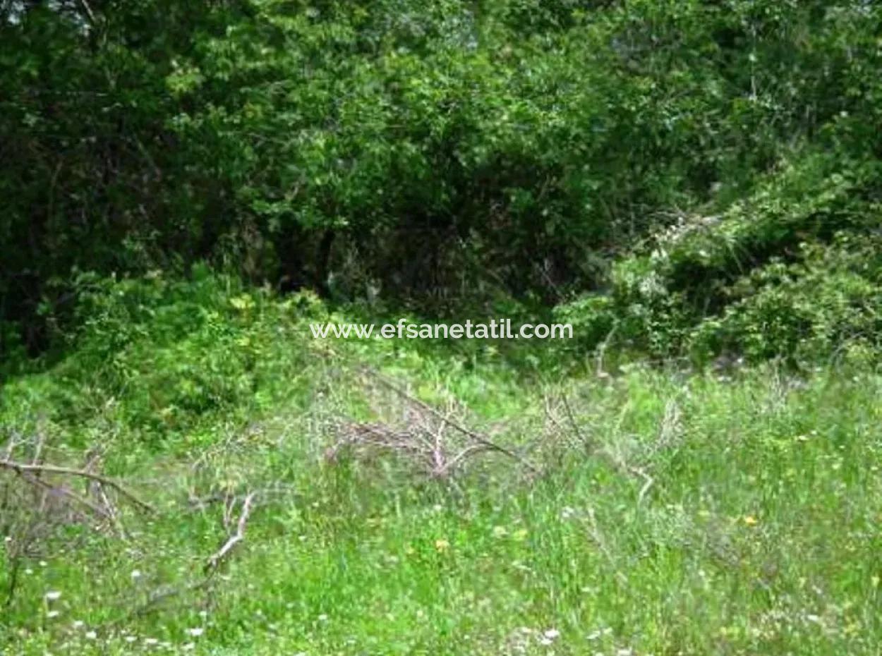 Oriya Fevziye Für Verkauf Schnäppchen Landen, Geeignet Für Investition, 1500 M2