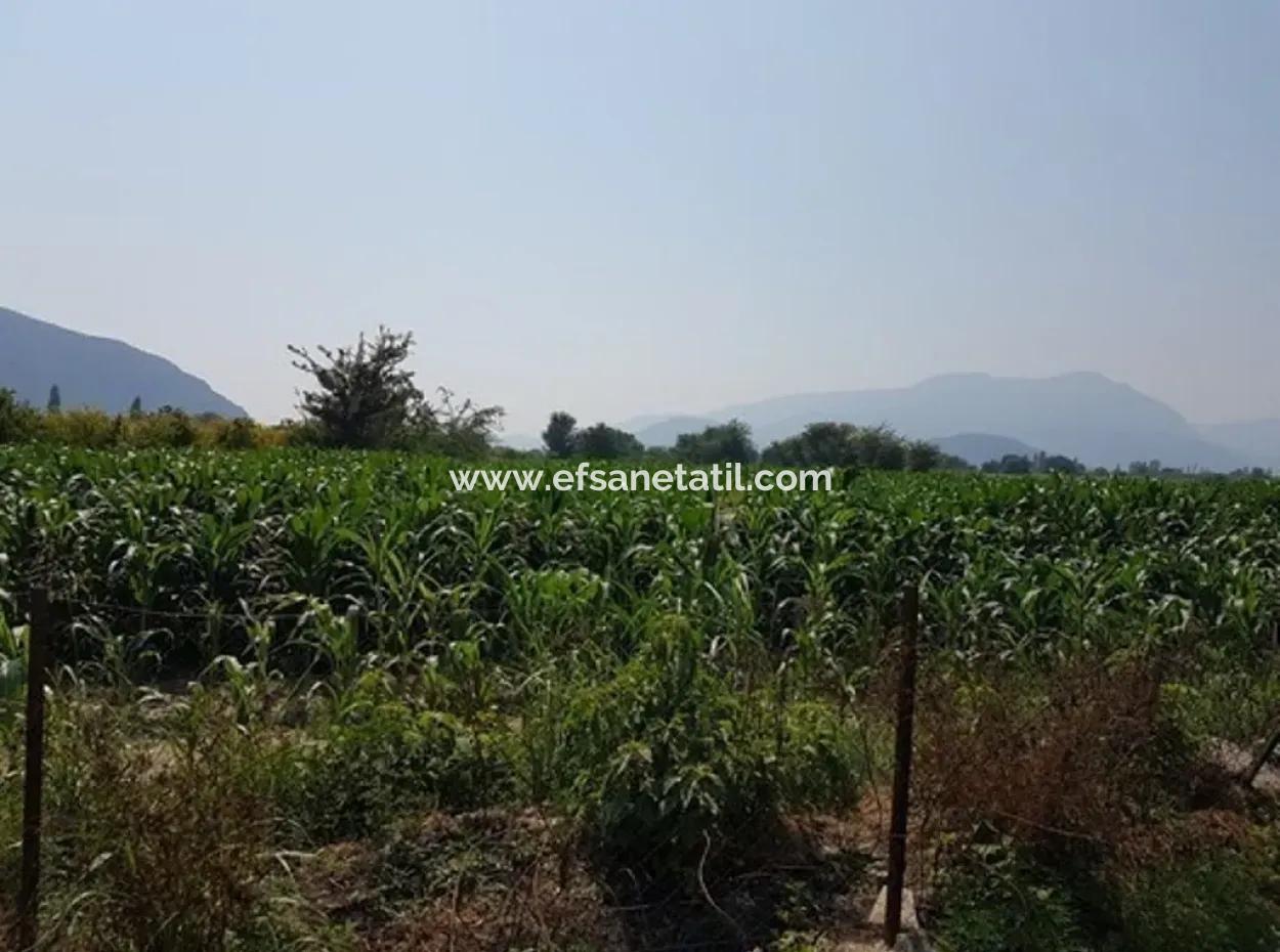 Freistehende 15000 M2 Fruchtbares Land Zum Verkauf In Mugla Ortaca Bogenschützen