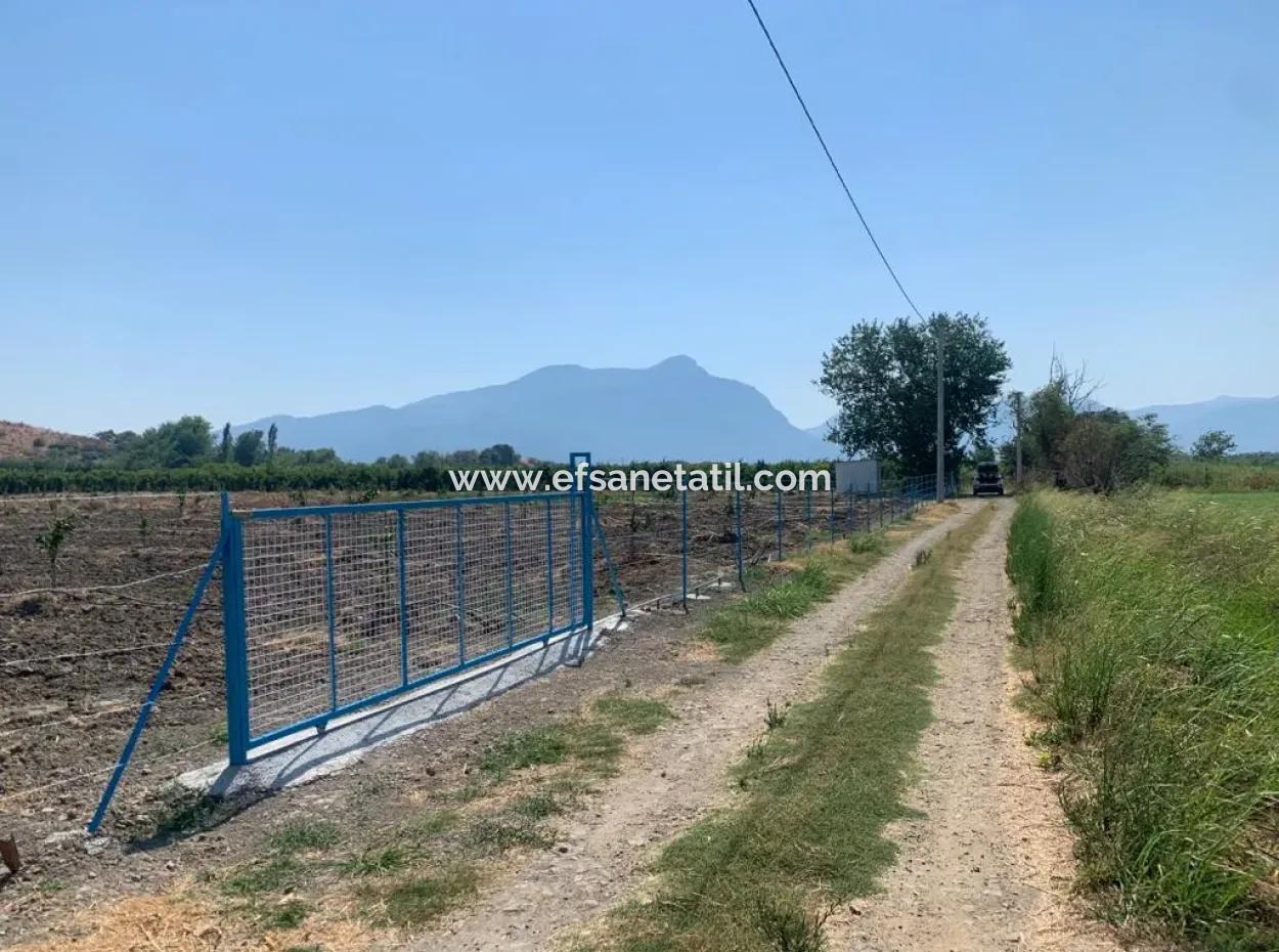 7300 M2 Zitronenfeld Zum Verkauf In Mugla Ortaca Tepearasi