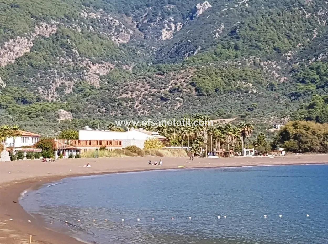 Olivenhain Mit Meerblick Zum Verkauf In Köyceğiz Ekincik