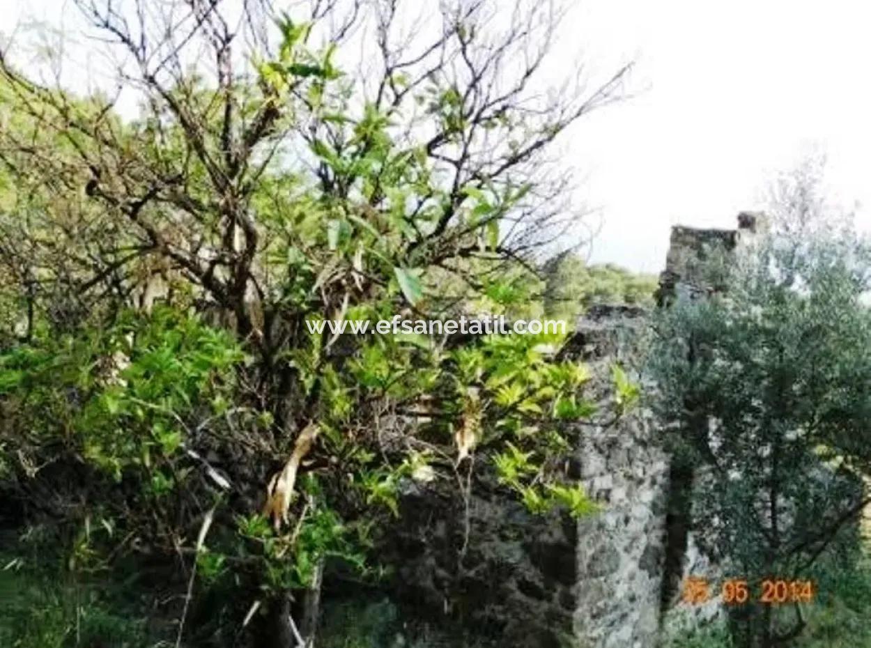 600 M2 Garten Mit Meerblick Zum Verkauf In Mugla Fethiye Eldirek