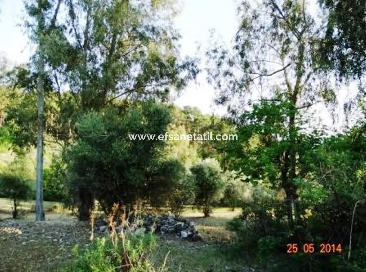 600 M2 Garten Mit Meerblick Zum Verkauf In Mugla Fethiye Eldirek