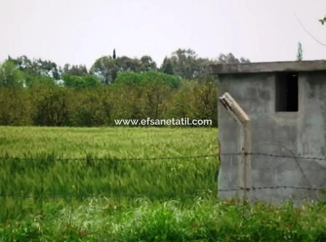 8 000 M2 Fruchtbares Land Zum Verkauf In Muğla Ortaca Fevziye