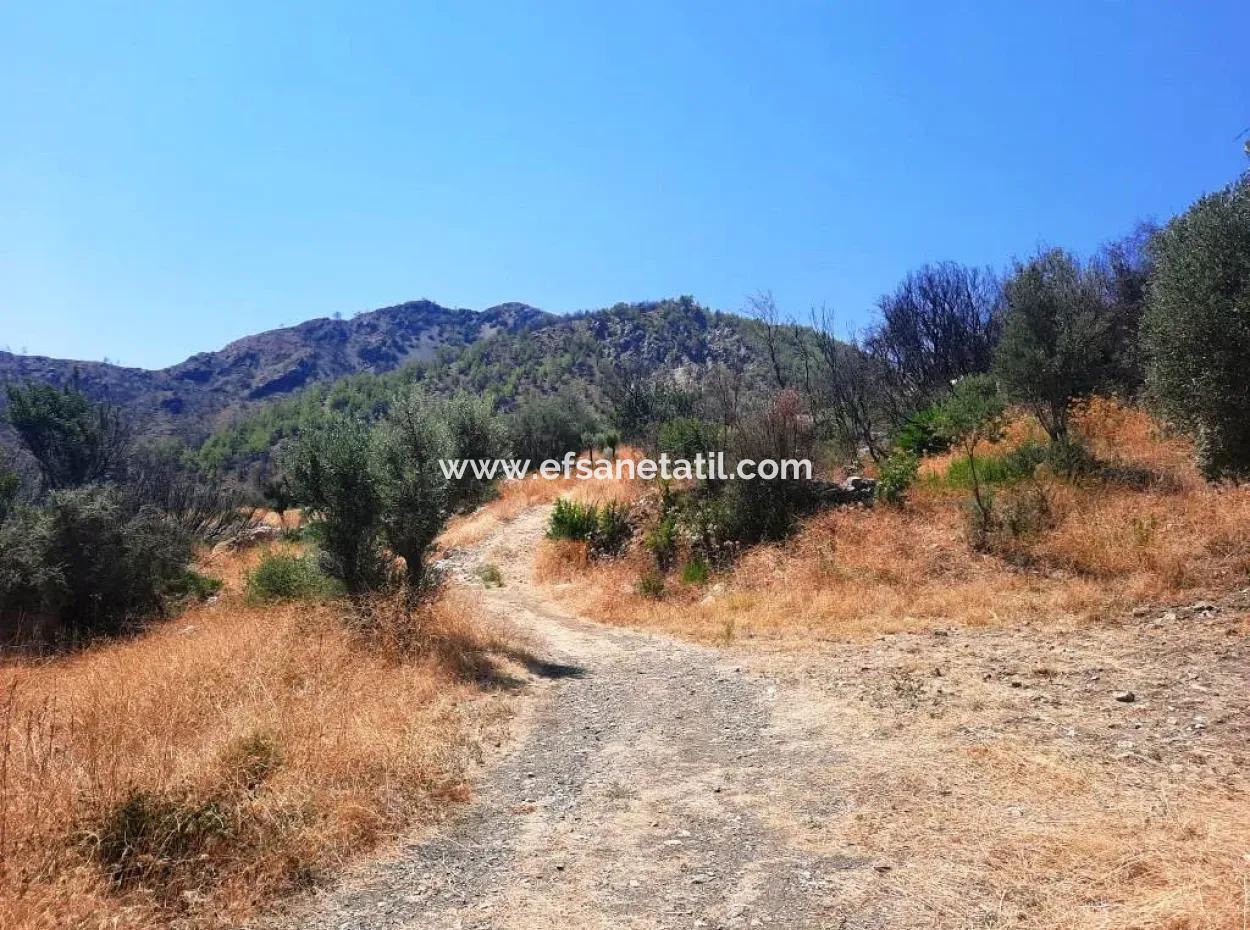 Muğla Dalaman 42.432M2 Freistehendes Grundstück Mit Eigentumsurkunde Zum Verkauf
