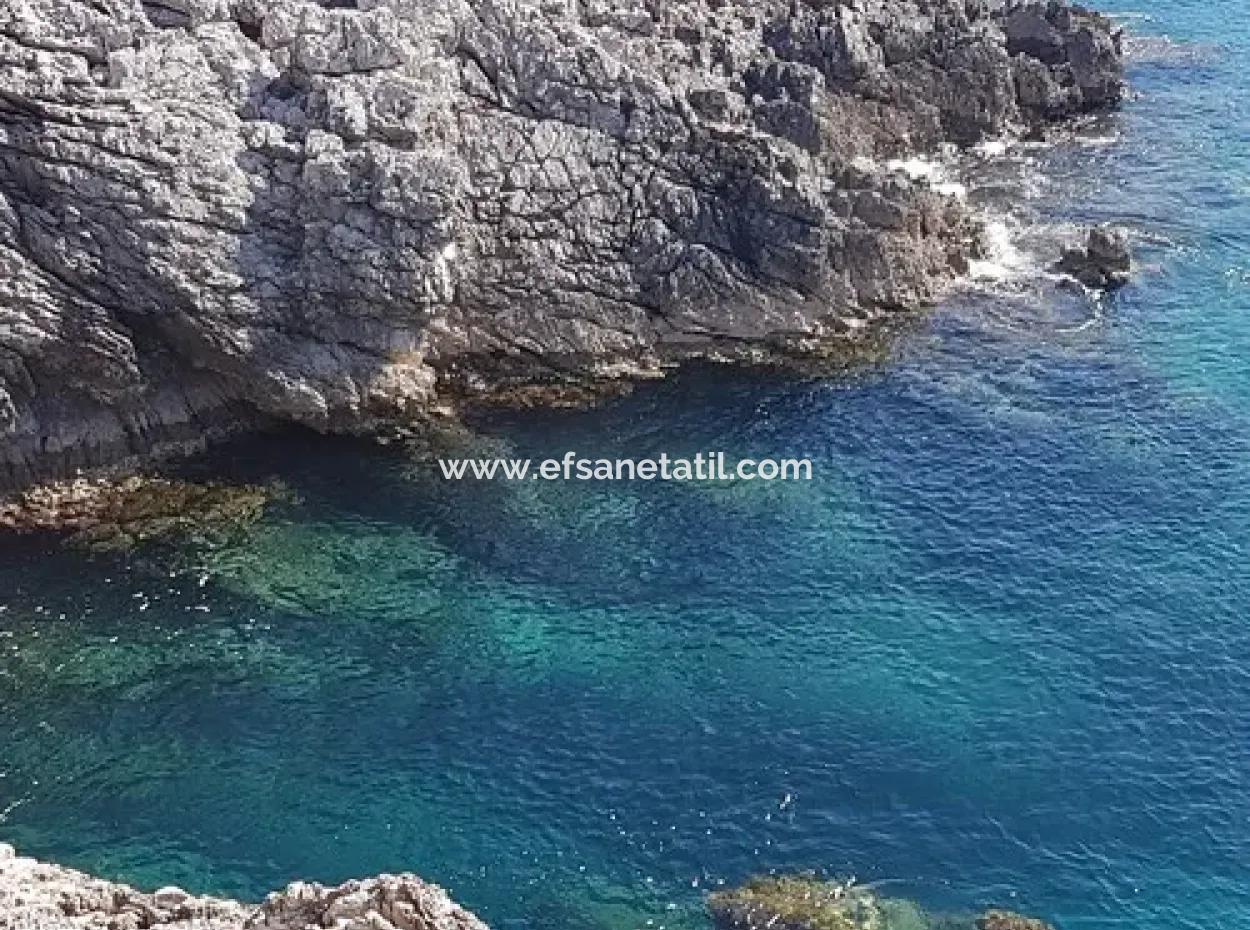 Dalyan, Gökbel De Meer Freistehend 1 300 M2 Olivenhain Zu Verkaufen