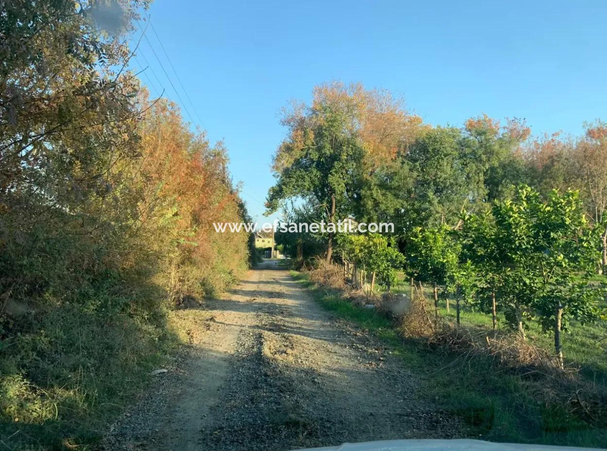 3000 M2 Von 28.394 M2 In Ortaca Güzelyurt Feld Zu Verkaufen