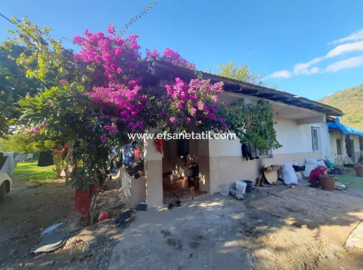 Ortaca Ekşiliyurt Geeignet Für Investitionen 11 850 M2 Zitronengarten Und 4 Gebäude Zum Verkauf