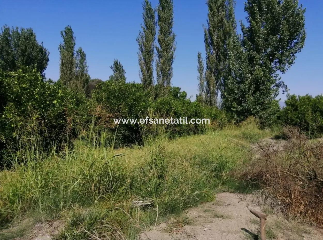 Bauernhof Zum Verkauf In Kavakarasi Koycegiz