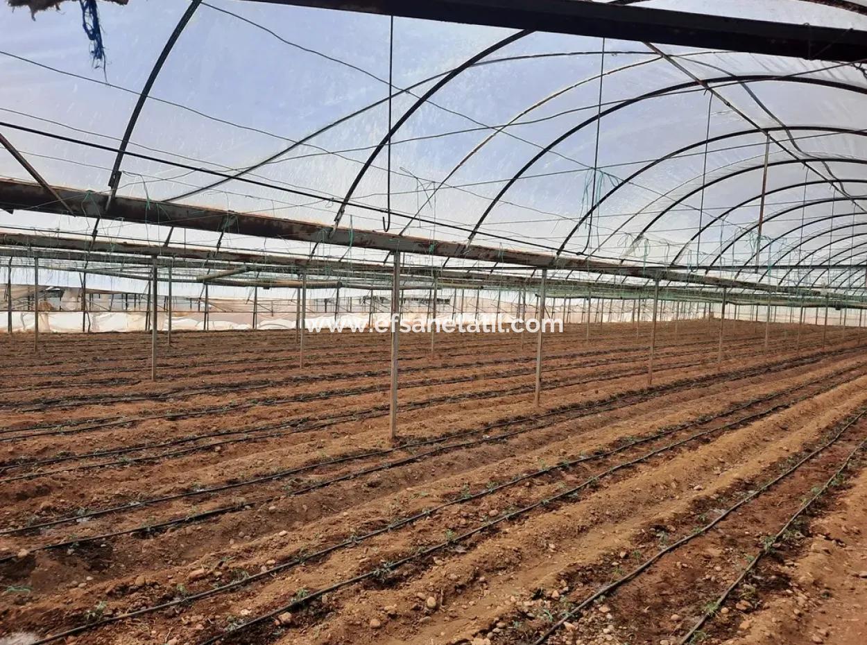 3100 M2 Grundstücke Und Gewächshaus In Muğla Ortaca Ekşiliyurt Zum Verkauf