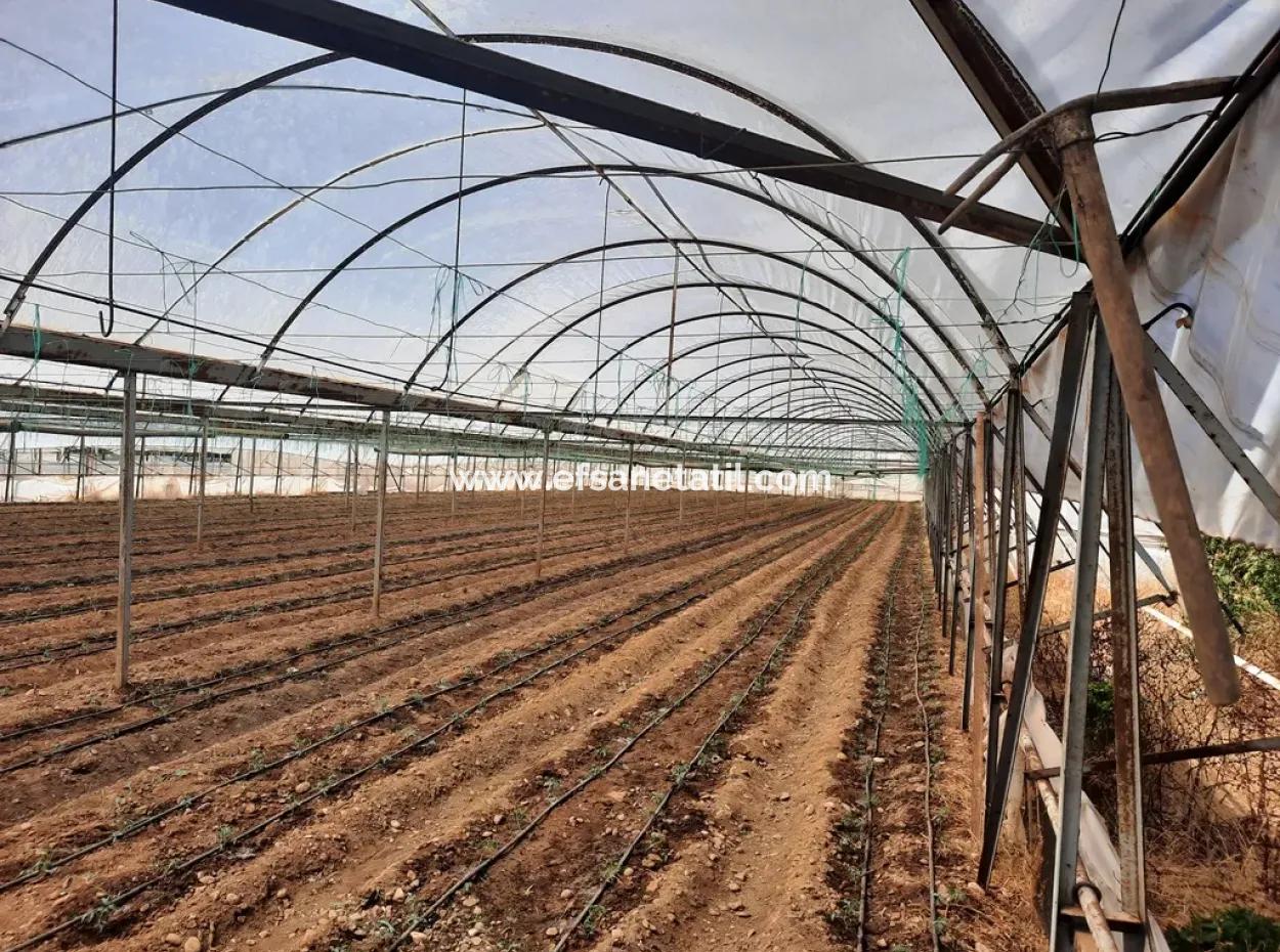 3100 M2 Grundstücke Und Gewächshaus In Muğla Ortaca Ekşiliyurt Zum Verkauf