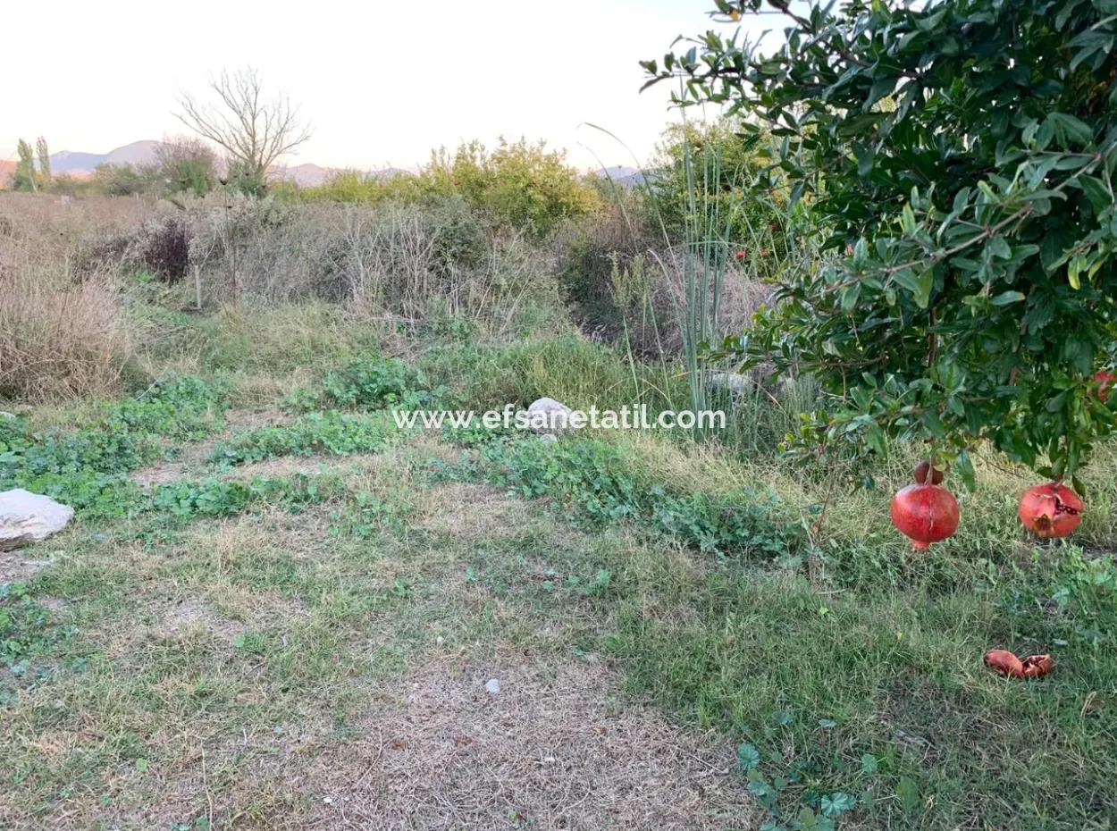 26.200 M2 Freistehendes Feld Und 3.000 M2 Zum Verkauf In Ortaca Güzelyurt