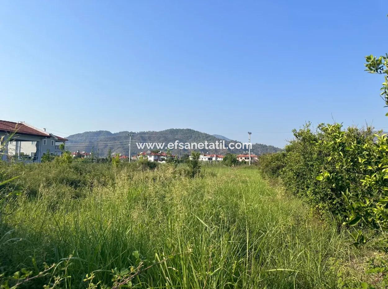 500 M2 Grundstück Zum Verkauf In Ortaca Dikmekavak