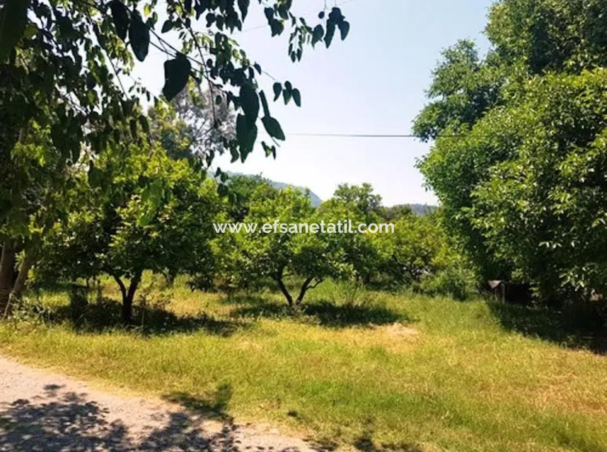 1000 M2 Pfahlfeld Zum Verkauf In Ortaca Archers