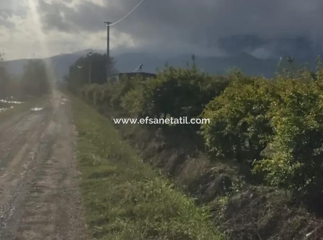 7833 M2 Freistehendes Feld Zum Verkauf In Muğla Ortaca Eskiköy