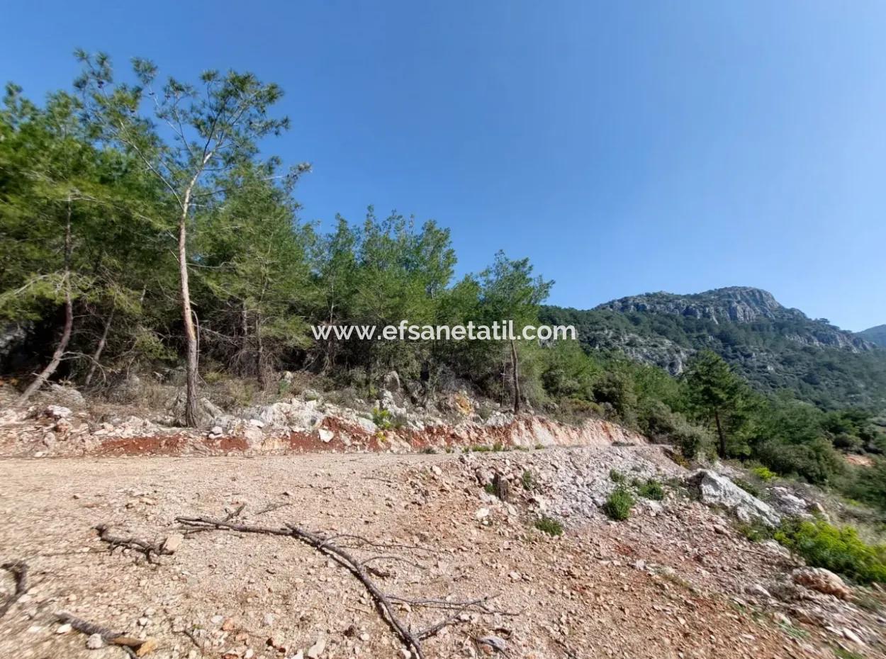 1 300 M2 63 M2 Zoniertes Grundstück Zum Verkauf In Göcek Gökçeovacik
