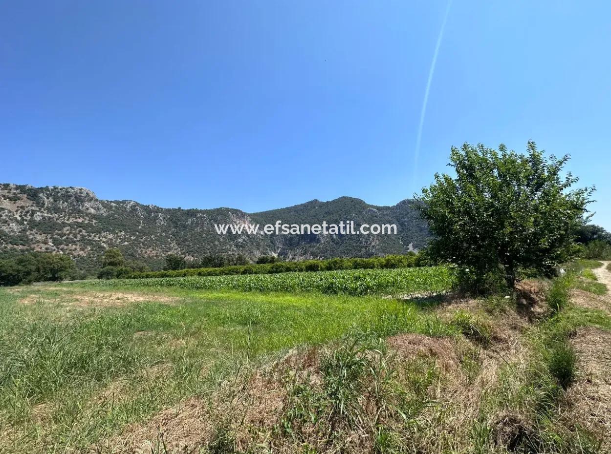 970 M2 Rızai Taksimli Aktie Zum Verkauf In Dalyan