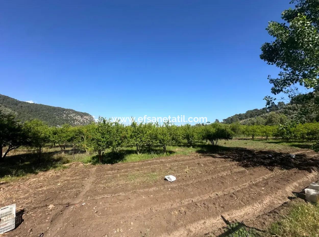 Ortaca Mergenlide Bergseite, 1 700 M2 Zoniert Schnäppchenland Zum Verkauf