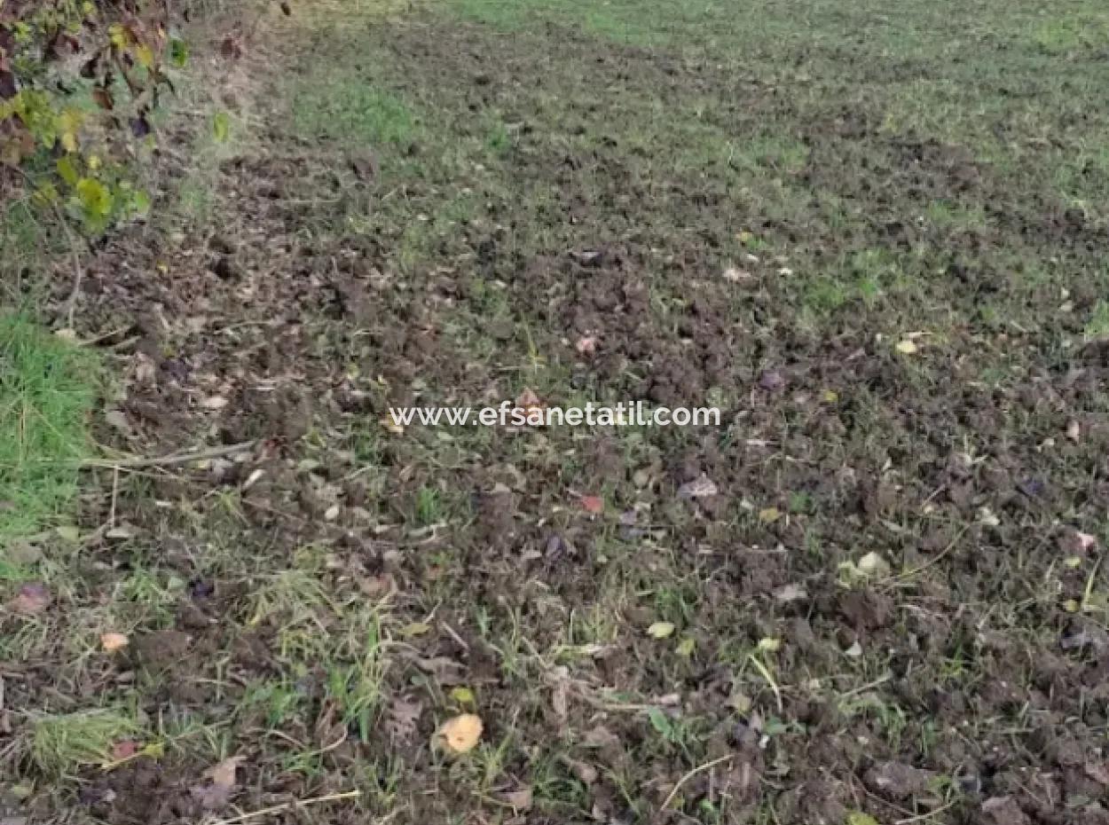 11 450 M2 Feld Zum Verkauf In Muğla Köyceğiz Köyceğiz Nachbarschaft