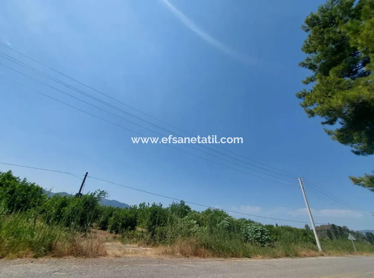 Muğla Ortaca Ekşiliyurtta Roadfront 7.000 M2 Zitronengarten Zu Verkaufen