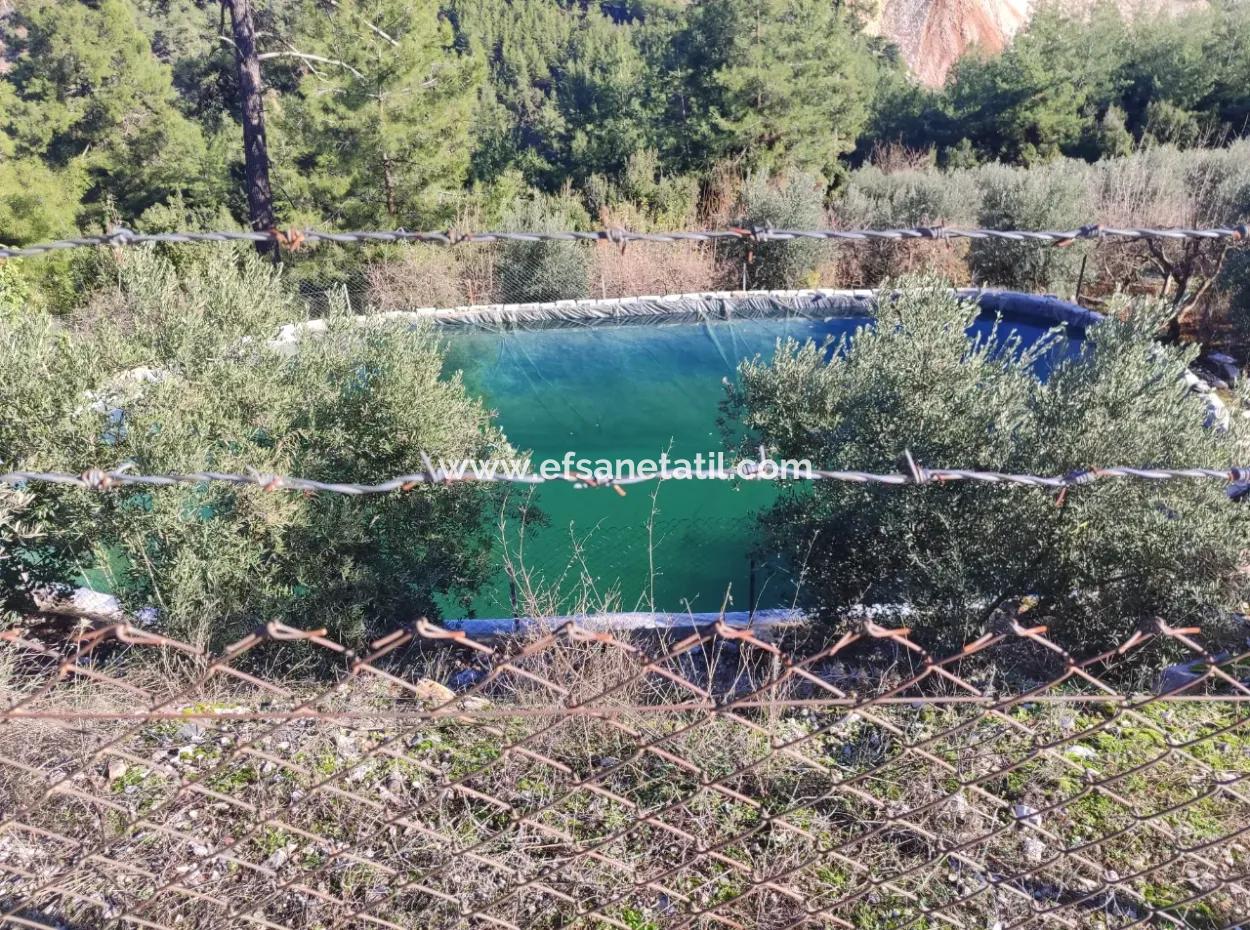 120 M2, 3 1 Einstöckiges Haus Zum Verkauf Auf 8500 M2 Land Mit Meer- Und Naturblick In Antalya Finike Alacadağ