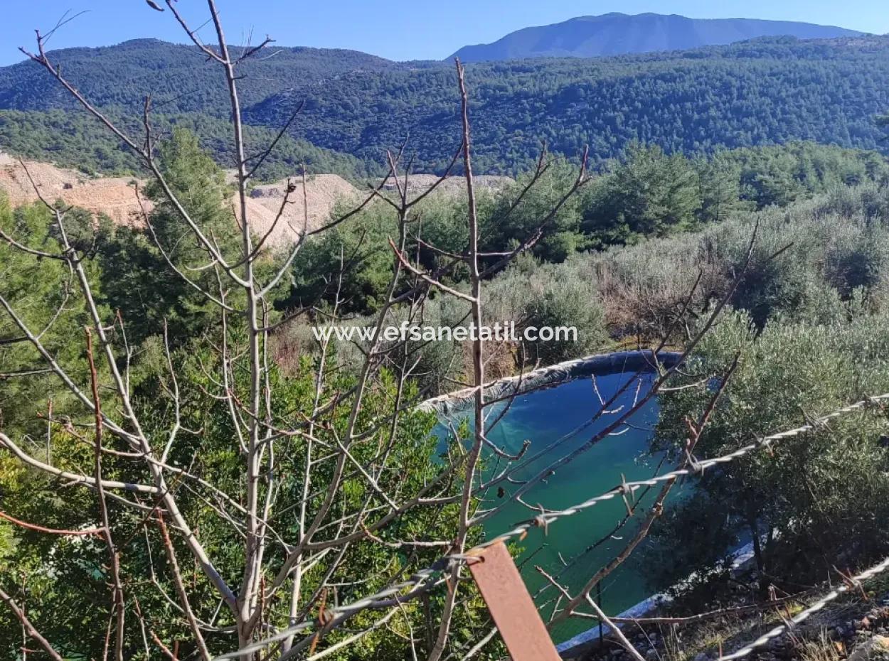 120 M2, 3 1 Einstöckiges Haus Zum Verkauf Auf 8500 M2 Land Mit Meer- Und Naturblick In Antalya Finike Alacadağ