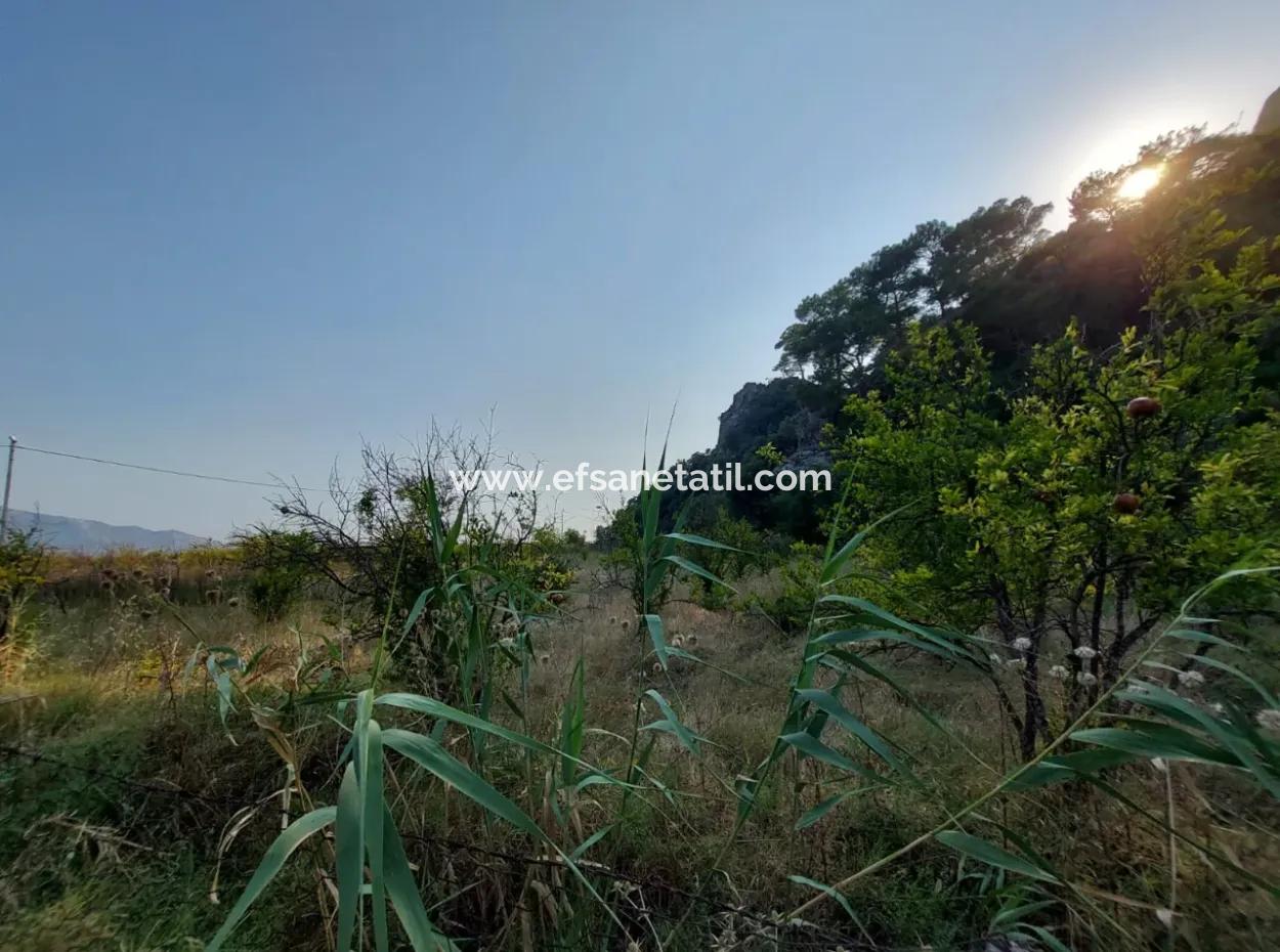 Einstöckiges Haus Zum Verkauf Auf 15 000 M2 Freistehendem Grundstück In Der Nähe Des Dalyan-Kanals In Köyceğiz Çandırda