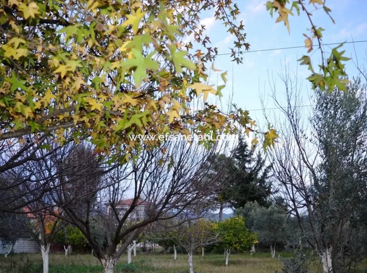 Freistehende Duplex Mit Seeblick Zum Verkauf An Zeytinalani