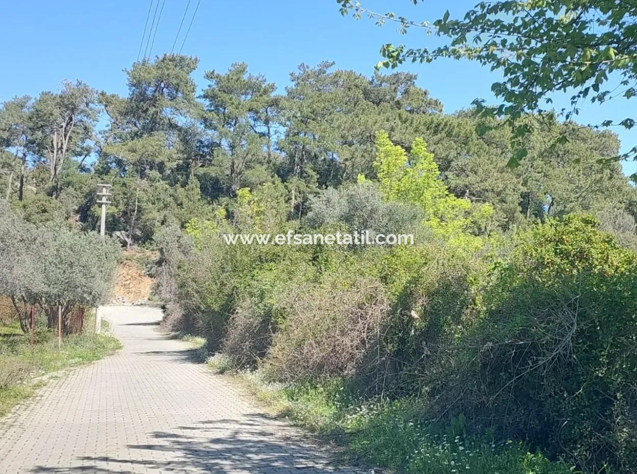 Dorfhaus Mit Seeblick Und Olivenhain Land Zum Verkauf In Köyceğiz Çandır, Muğla