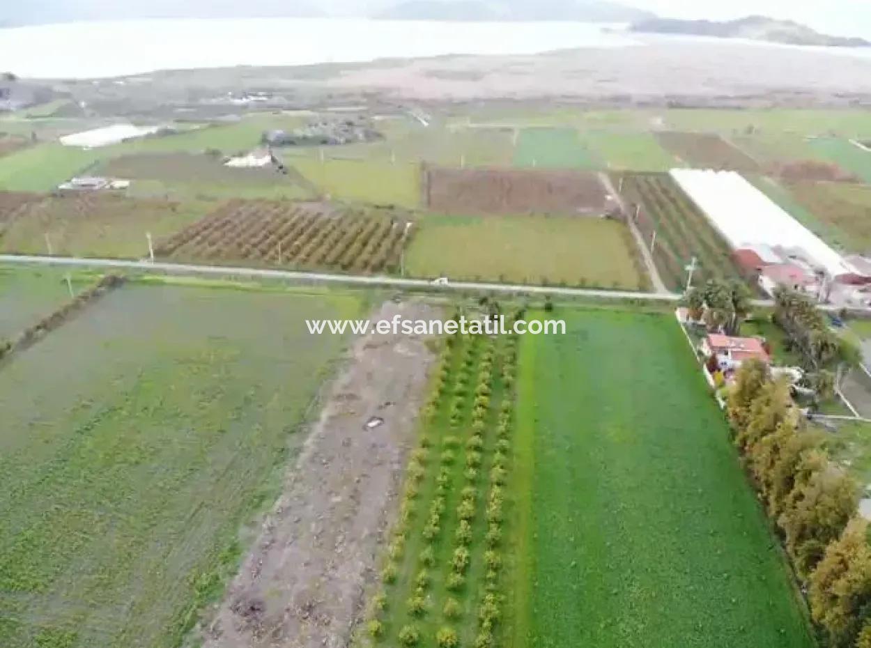 4100M2 Feld Zum Verkauf In Der Nähe Des Sees In Dalyanda, Muğla