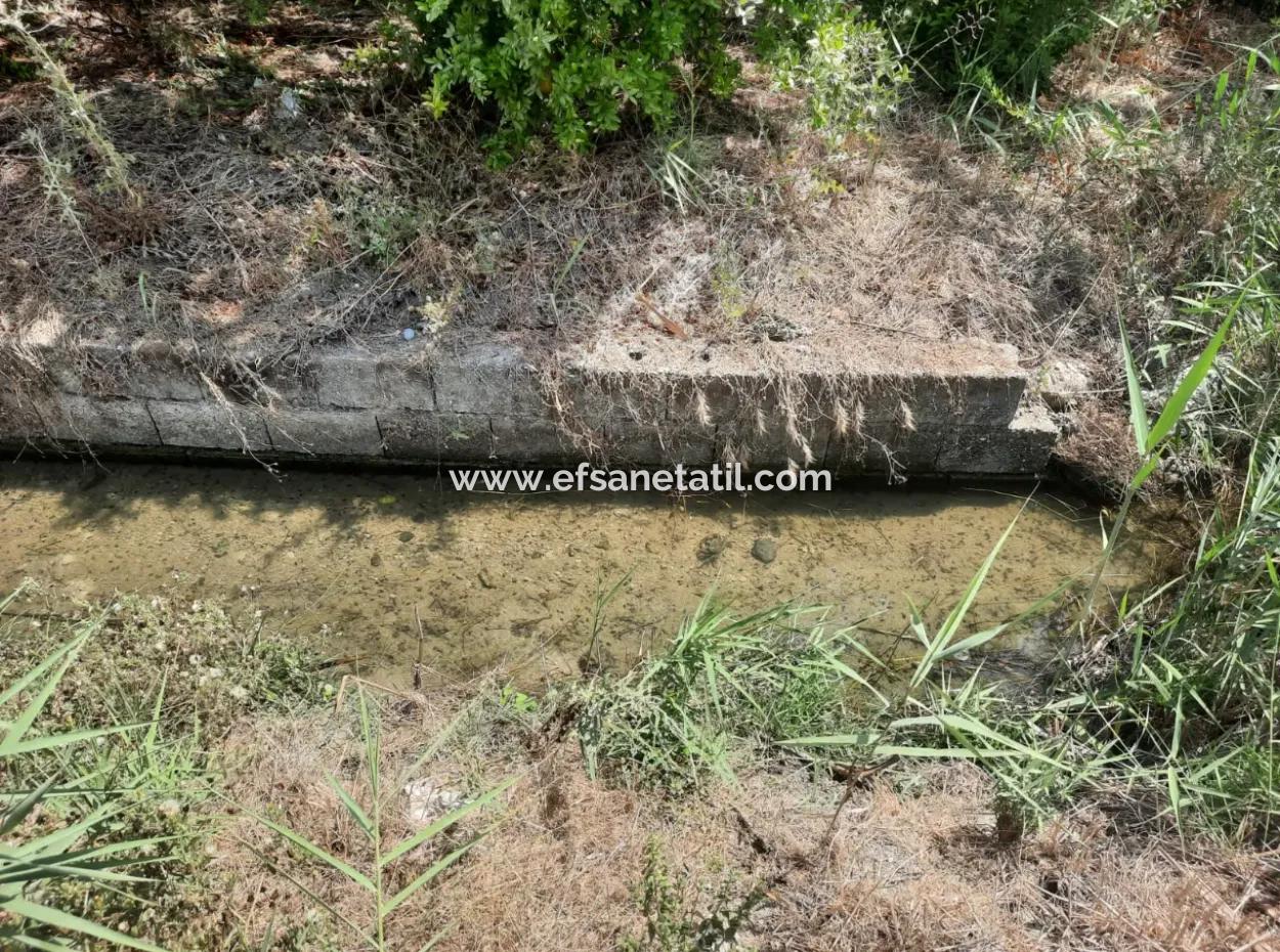 Muğla Dalyanda Mountain Zero, Waterside 10 500 M2 Granatapfelgarten Zum Verkauf