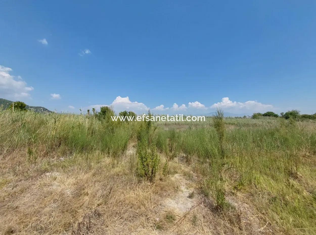 Muğla Ortaca Dalyanda 7.353 M2 Freistehendes Grundstück In Der Nähe Des Kanals Zu Verkaufen