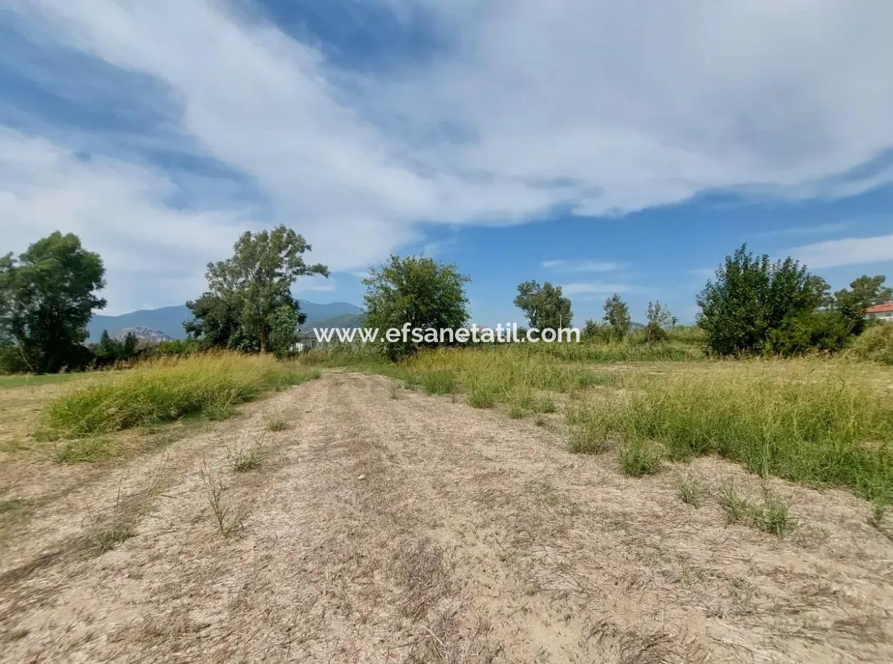 Fruchtbares 1.680 M2 Land Am Berghang Zum Verkauf In Dalyan, Muğla