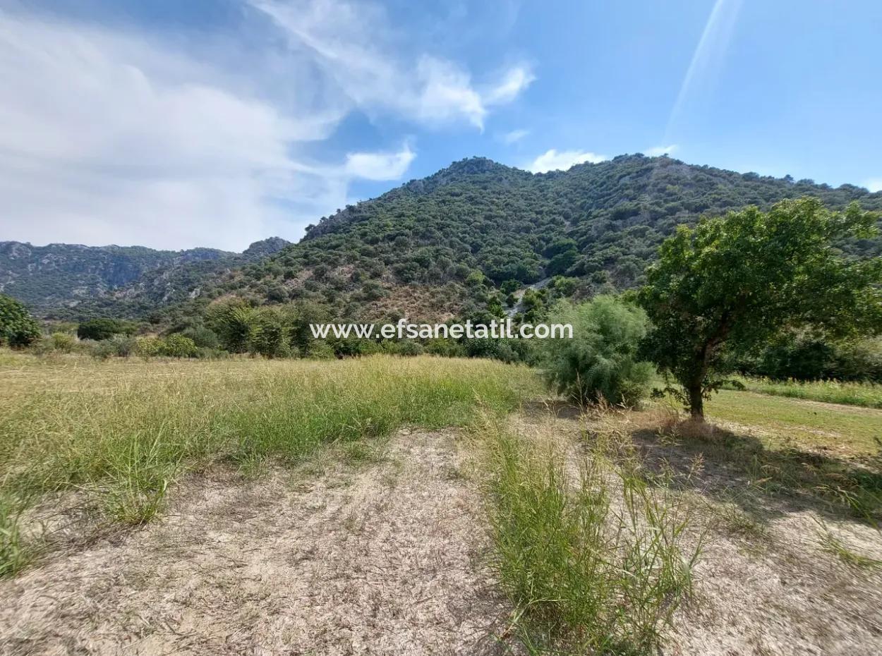 Fruchtbares 1.680 M2 Land Am Berghang Zum Verkauf In Dalyan, Muğla