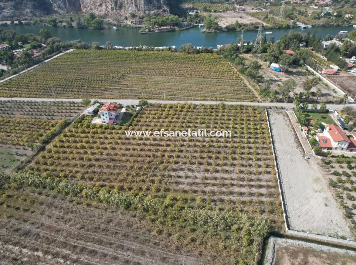 Muğla Dalyanda Kanal 2. Parzelle Freistehend 5.000 M2, 250 M2 Grundstück Mit Baurecht Zu Verkaufen