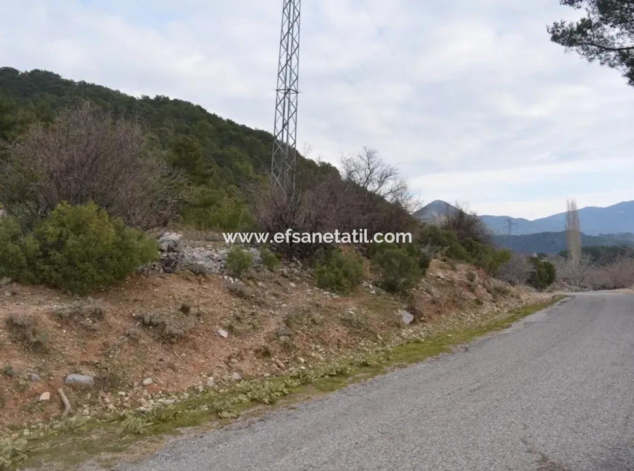Zum Verkauf Schnäppchen Land In Fethiye Ta Sty