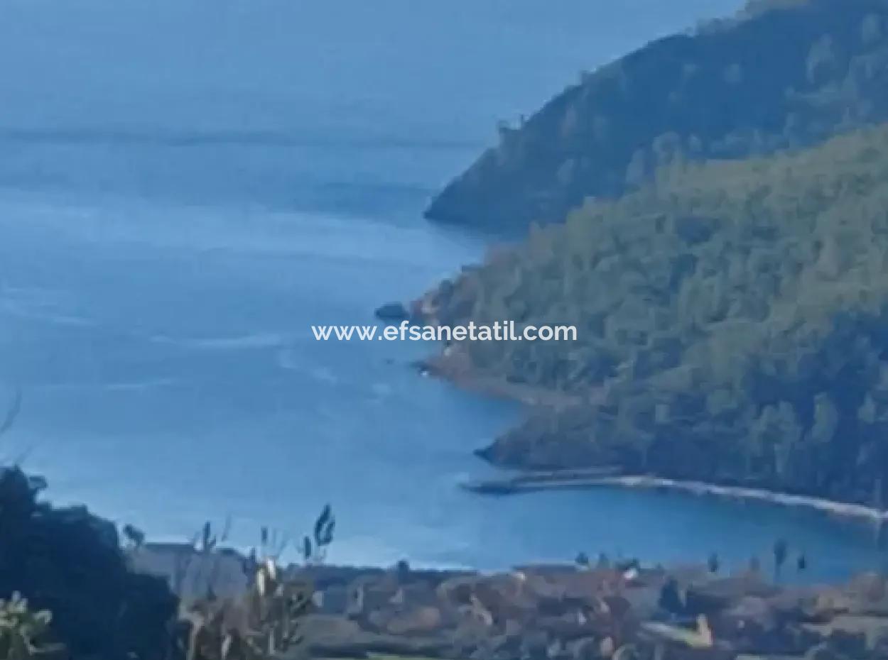 1 650 M2 Olivenhain Mit Meerblick Zum Verkauf In Köyceğiz Ekincik