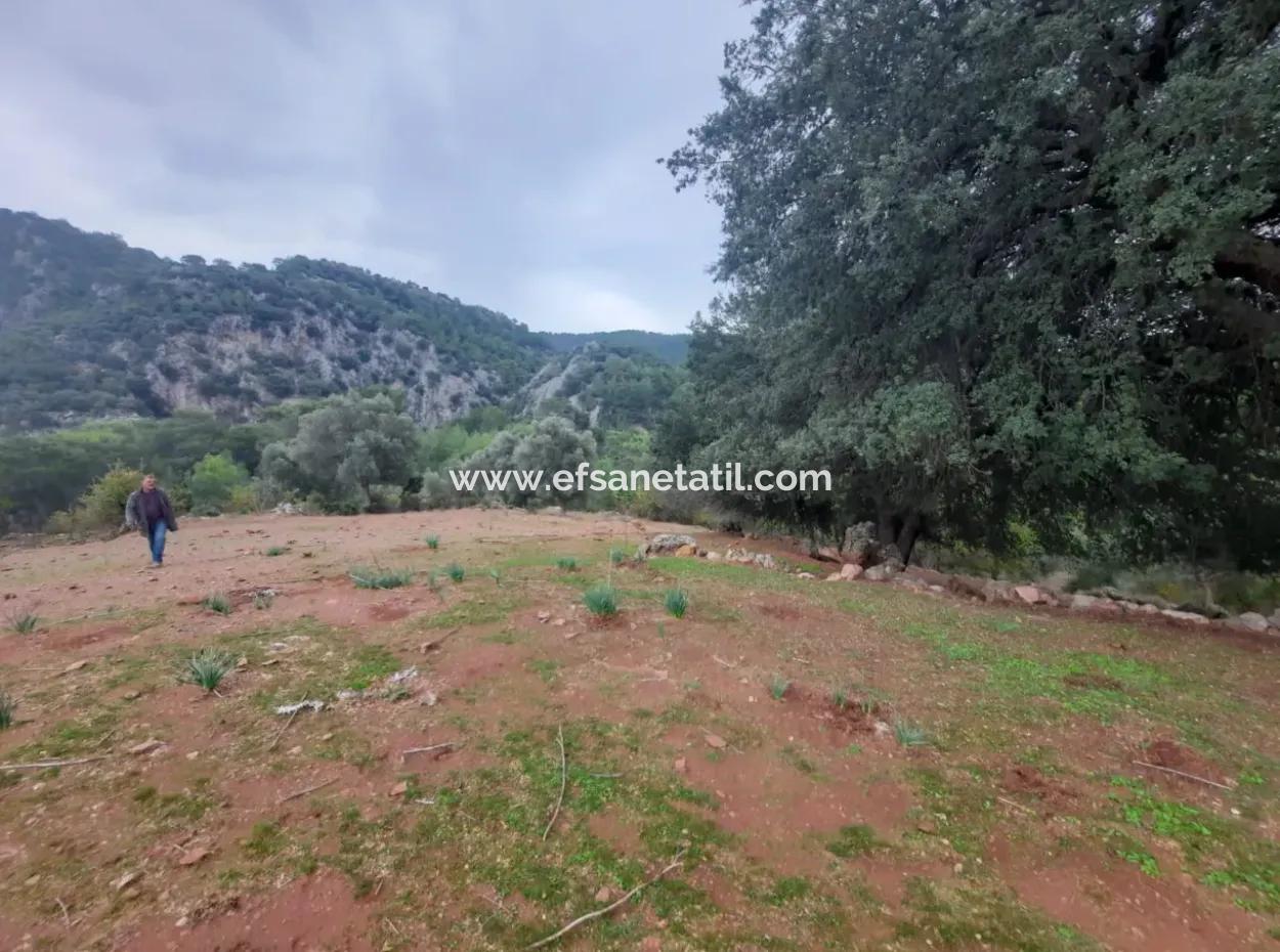 24.000 M2 Freistehendes Grundstück Zum Verkauf In Muğla Dalyan Gökbelde Natur