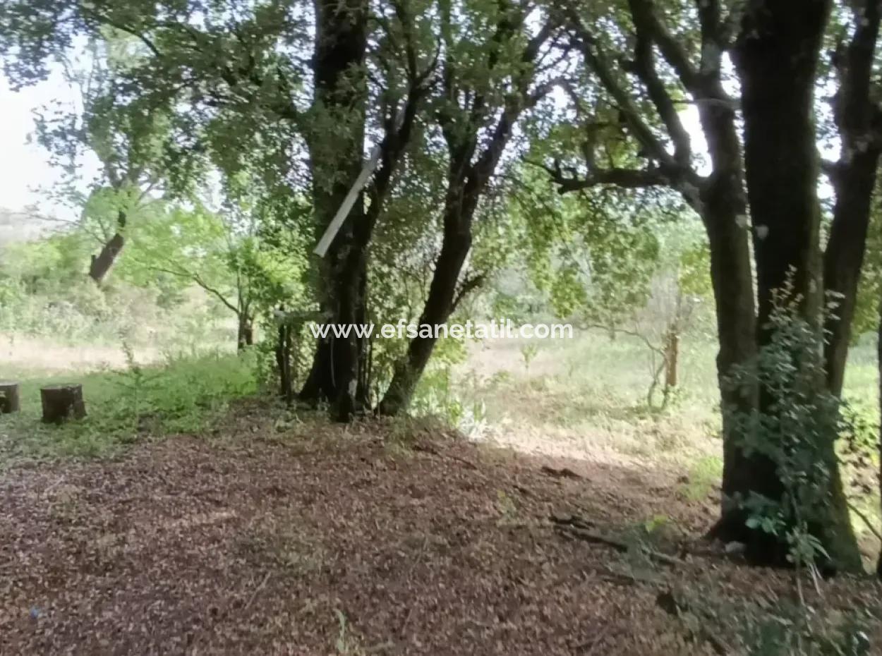 1228 M2 Grundstück Und Kargir Haus Zu Verkaufen In Muğla Menteşe Yaraş, Dorf In Dorf.   