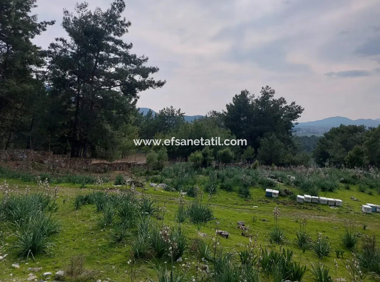 3.500 M2 Freistehendes Grundstück Mit Meerblick Zum Verkauf In Dalaman Gürköy