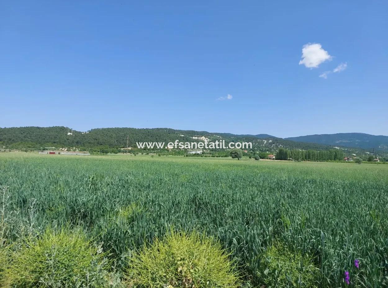 Zu Verkaufen In Denizli Çameli Kızılyaka 1500 M2 Freistehende Eigentumsurkunde Schnäppchenland