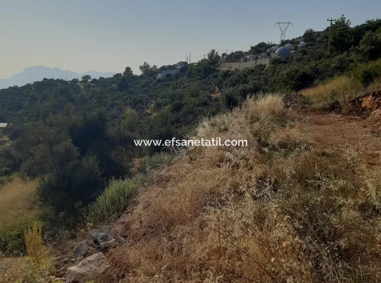 12 300 M2 Land Geeignet Für Investitionen Zum Verkauf In Antalya Kaş Kalkan Islam