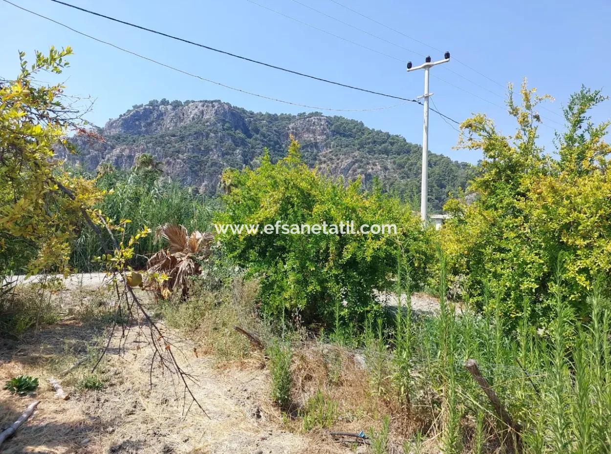 2.800 M² Grundstück Zum Verkauf In Dalyan, Muğla, In Der Nähe Des Dalyan-Kanals