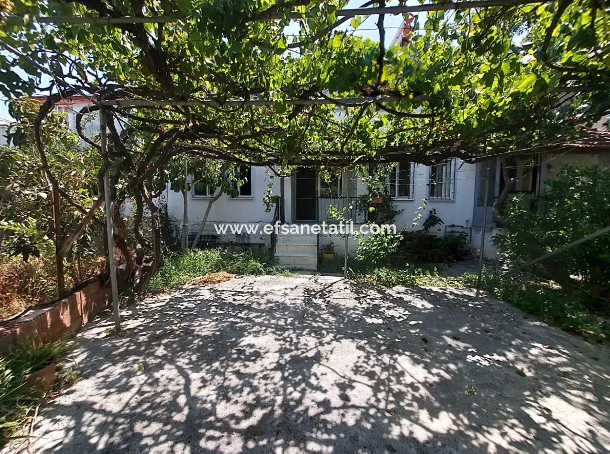 2 1 Dach-Maisonette-Wohnung Zu Vermieten In Dalyan, Mugla – Ruhiges Und Kühles Leben In Der Natur