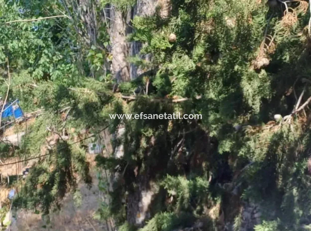 2-Stöckiges Steinhaus Zum Verkauf Auf 750 M² Land In Denizli Çameli Gökçeyaka